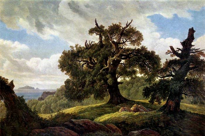 Oaks at the Sea Shore